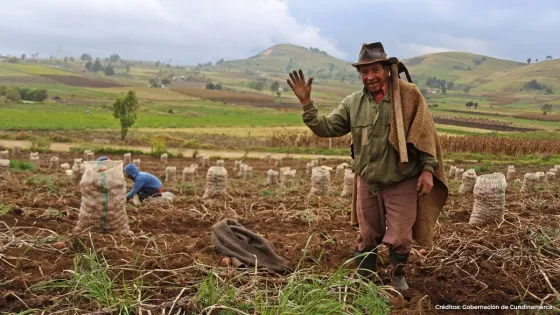 Día del Campesino: un homenaje a quienes cultivan la vida Día del Campesino: un homenaje a quienes cultivan la vida