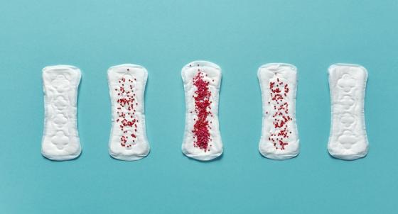 Ciclo menstrual