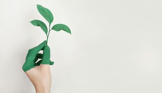 Premios medio ambiente