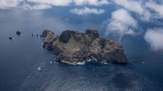 Fundación Malpelo Fundación Malpelo