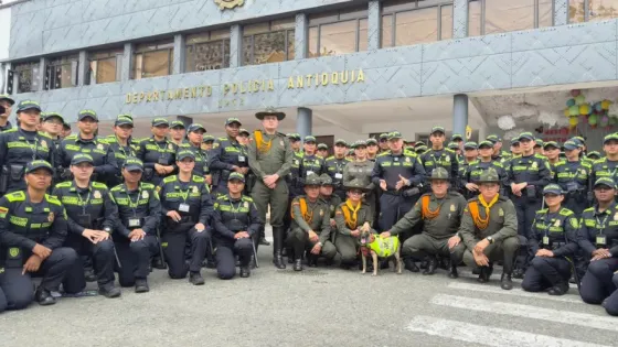Bizcocho-perrito-policía