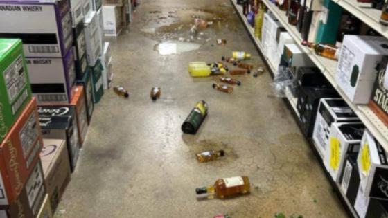 Mapache borracho causa estragos en una licorería de Virginia.