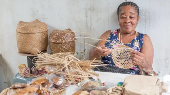 Museo virtual Mujeres Territorio y Vida del Pacífico
