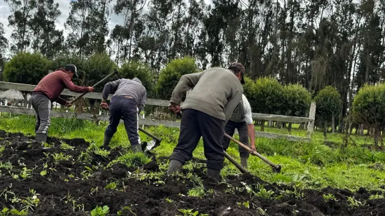 Cómo un banco de semillas cambió la dieta en un resguardo indígena