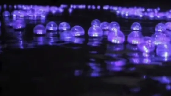 Las esferas de luz que llevaron a 200 guerrilleros a rendirse