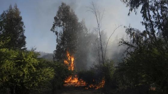 Incendios en Chile.