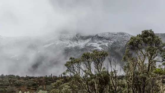 Parque Nacional Natural Los Nevados