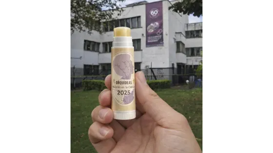 Prototipo de protector de labios