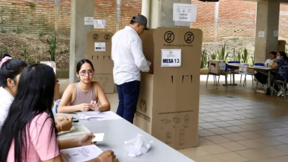 ¿El tarjetón de consulta es obligatorio? Esto dijo el registrador