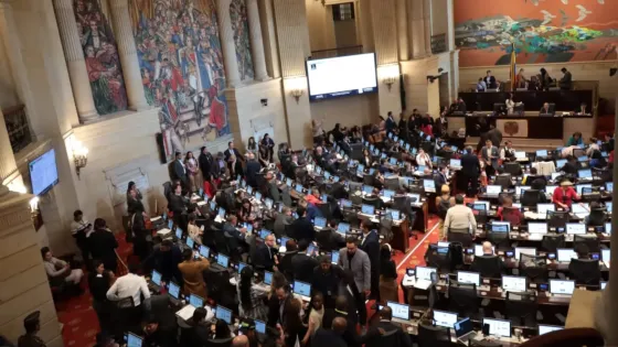 MOE pide al CNE sancionar violencia política de género