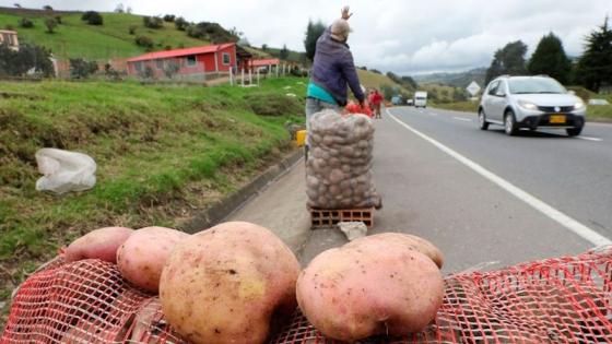 Bogotanos podrán participar en la ‘Papatón 2.0’ los días 17 y 18 de enero