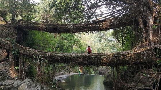 Los 8 puentes más hermosos del mundo