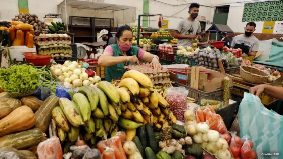 Qué alimentos subieron y cuáles bajaron en enero