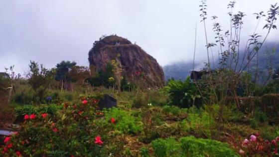 Descubra Pradera, en el Valle del Cauca: naturaleza, historia indígena, piedra de Kwet-Wala
