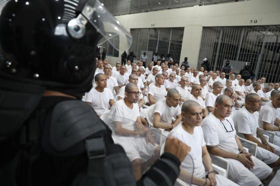 Megajuicio a los Mara Salvatrucha, también conocidos como los MS13. 