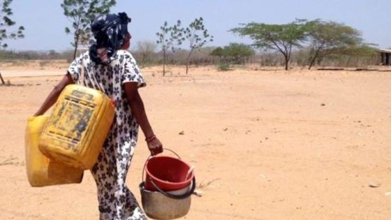 Alimentos en La Guajira