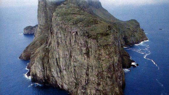 malpelo