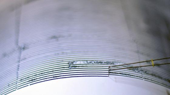 Un sismo de magnitud preliminar 7,1