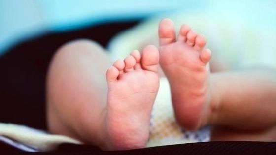 proyecto orden de los apellidos de los padres 