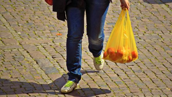 Día Internacional Libre de Bolsas de Plástico