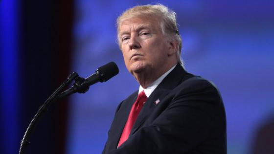 Donald Trump sugiere aplazar las elecciones 