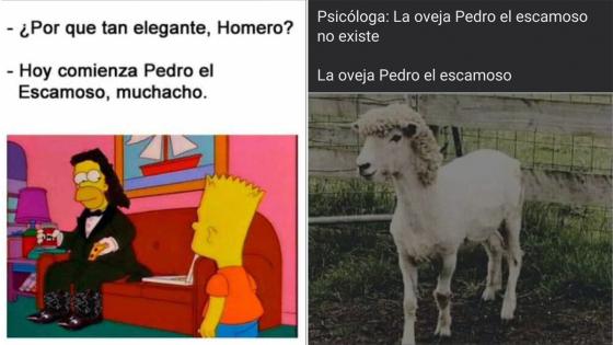 Los memes que dejó el regreso de Pedro, el escamoso