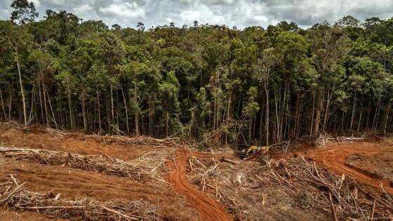 Colombia no ahorra y agota cada vez más rápido sus recursos naturales