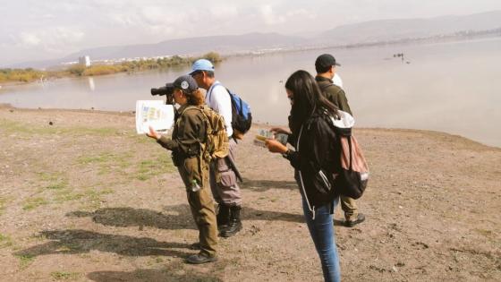 ¿Por qué México dejó sin recursos a la protección ambiental?