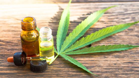 Proyecto busca fortalecer el sector productivo del cannabis en Bogotá