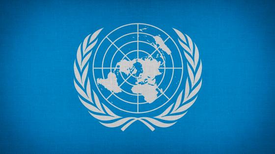 ONU amplia plazo para verificación de la paz en Colombia 