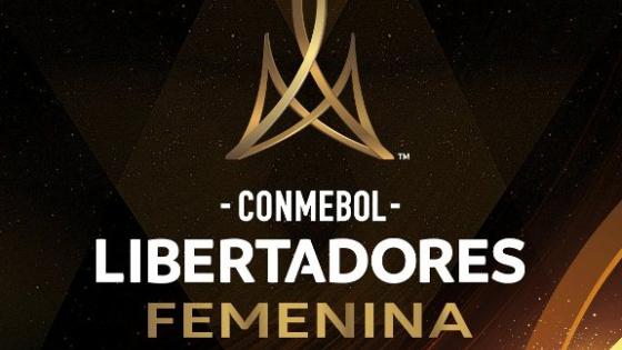 Así fue el rating de la final de la Copa Libertadores Femenina