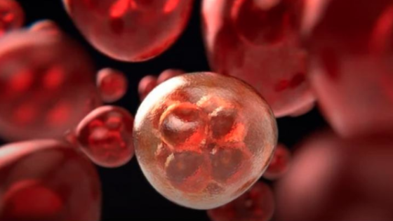 Cómo los científicos derribaron a la ‘Estrella de la Muerte’ del cáncer