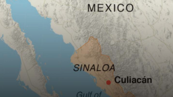 Más rutas marítimas, túneles y drones: los carteles mexicanos se adaptaron a la covid-19