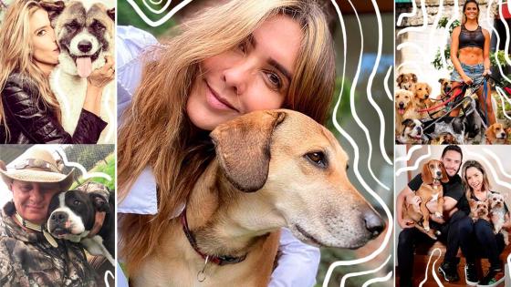 famosos animalistas