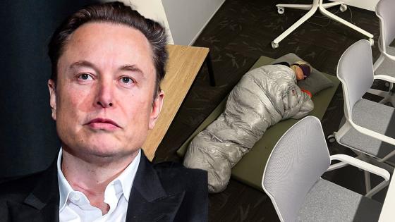 Elon Musk Twitter 