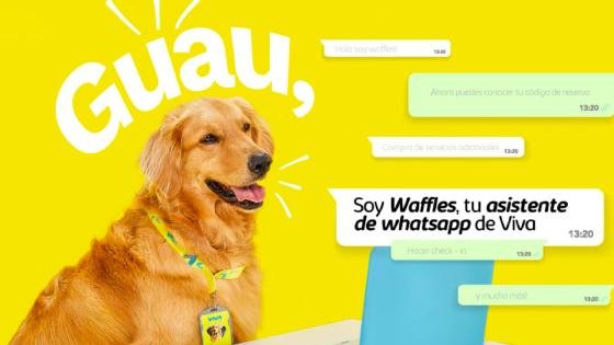 Waffles, el peludo de Viva Air