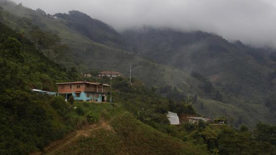 La historia de una finca es muestra de resiliencia en Colombia. 