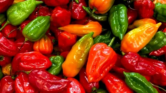La-Cocina-Pepina La-Cocina-Pepina