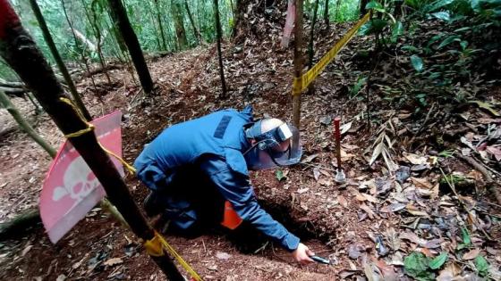 Minas antipersona Operación Perseo