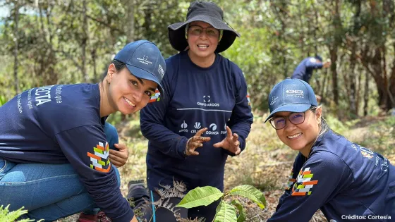 grupo-argos grupo-argos