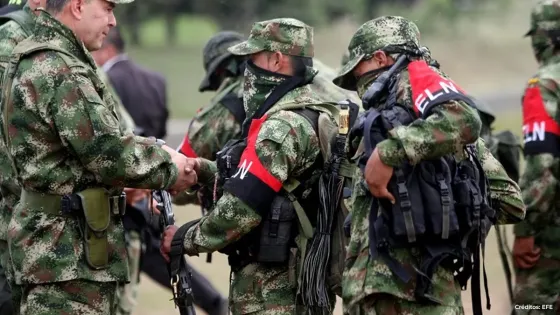 eln
