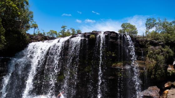 Caño Cristales.  Caño Cristales.
