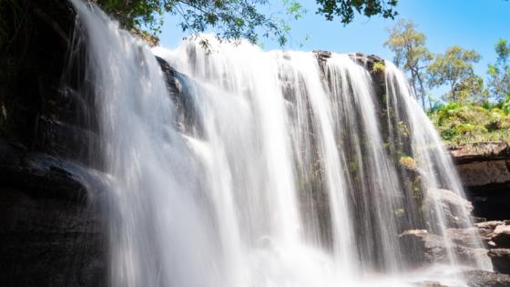 Caño Cristales.  Caño Cristales.