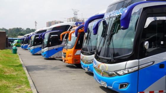 Buses en la terminal.