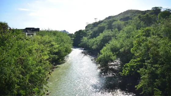 Ríos en el departamento del Tolima
