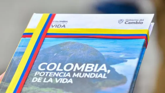 Qué son los planes de gobierno en Colombia