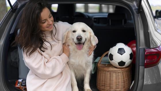 Viajar con mascotas
