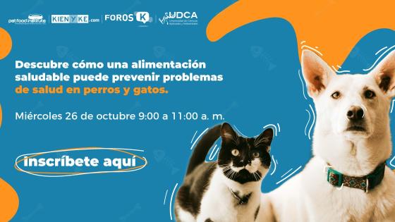Foro 'MasCoscientes: tendencias en la alimentación de las mascotas'. Foro 'MasCoscientes: tendencias en la alimentación de las mascotas'.